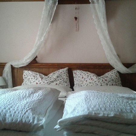 B&B Villa Ca'Praja Daone Dış mekan fotoğraf