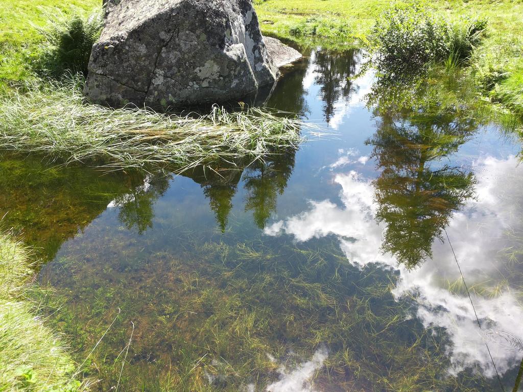 B&B Villa Ca'Praja Daone Dış mekan fotoğraf