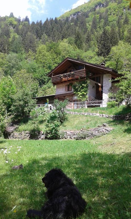 B&B Villa Ca'Praja Daone Dış mekan fotoğraf